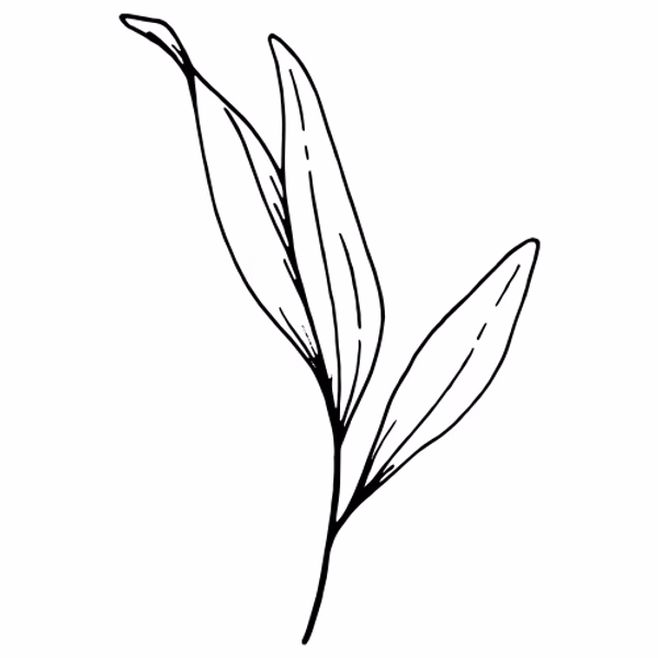 flower-home